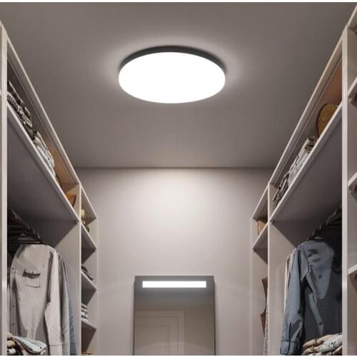 TinyRaspberry Ceiling Lighting