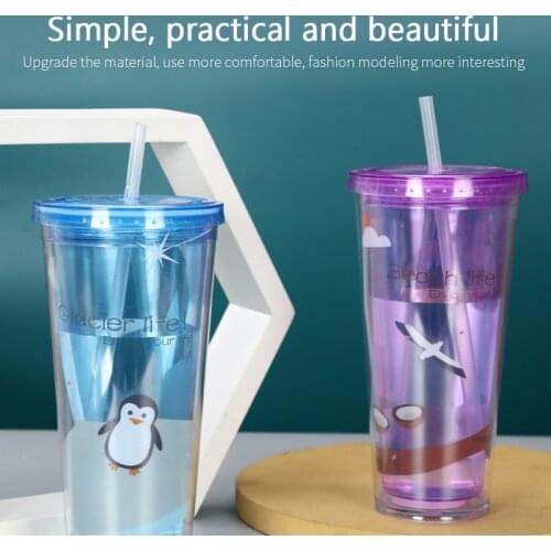 600ML Portable Travel Cup Straw Sport Plastic Fruit Juice Water Bottle Sealed Cup Double Layer Plastic Kitchen Accessories