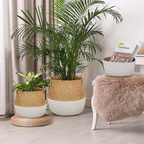 WHISM Pots