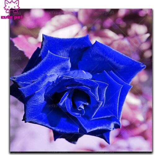 Cross Stitch Blue rose flower diy diamond painting full square Diamond embroidery rhinestone pictures diamond mosaic Home Decor