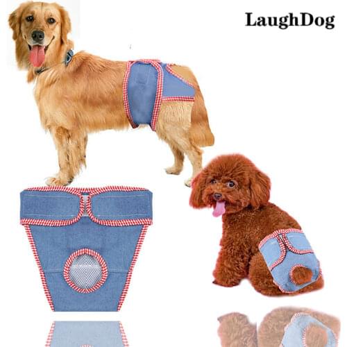 LaughDog Women's Travel Shorts