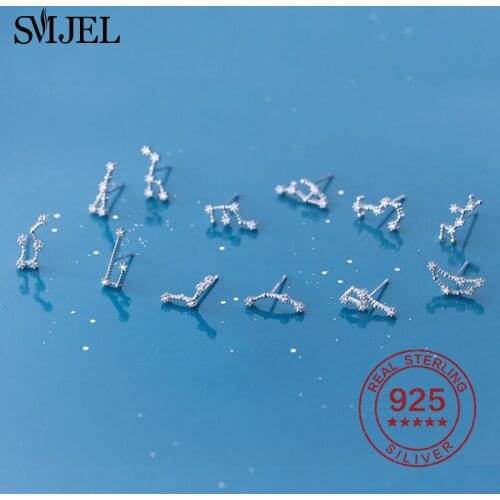 12 Constellation Jewelry 925 Sterling Silver Zodiac Earrings Virgo Leo Taurus Gemini Cancer Crystal Stud Earrings Unique Gifts