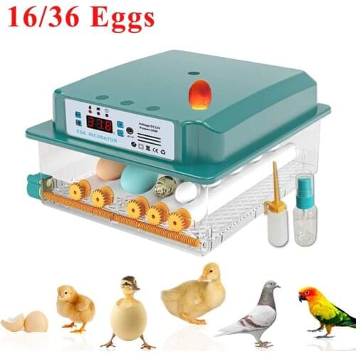 16/36 Automatic Egg Incubator 110V/220V Household Farm Digital Chick Brooder Hatcher Machine with Intelligent Turn Egg