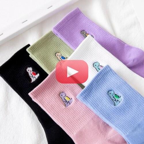 Embroidery Dinosaur Socks Fashion Woman Socks Korea Harajuku Style Kawaii Funny Cartoon Spring Autumn Female Socks Lovely Girl