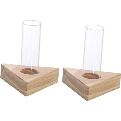 Glass Test Tube Vase in Wooden Stand Flower Pots for Hydroponic