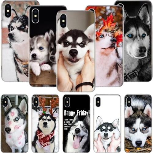 Siberian Husky Dog Phone Case For iPhone 11 12 Pro XS XR X Max 7 8 6 6S Plus Mini + 5 SE Pattern Customized Coque Cover Capa