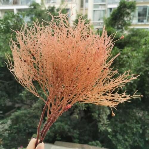 1 Bouquet,Natural Fresh Preserved Fantasy Grass with stem,Eternal rose flower Bouquet Wedding Party home flower arrangement