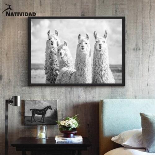 Home Aesthetics Decoration Alpaca Animal Modern Art Print Poster Black and White Painting Impression Bedroom Living Room Decor