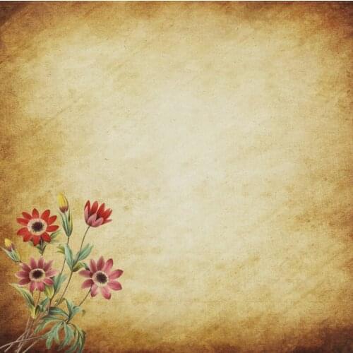 Laeacco Old Vintage Gradient Wall Blooms Flowers Photo Shoot Photography Background Photographic Backdrop Photo Sutdio Photocall