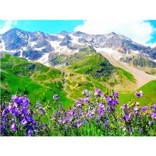 Flower Landscape DIY Embroidery Cross Stitch Kits Needlework Craft Set Printed Canvas Cotton Thread Home Decoration On Sale