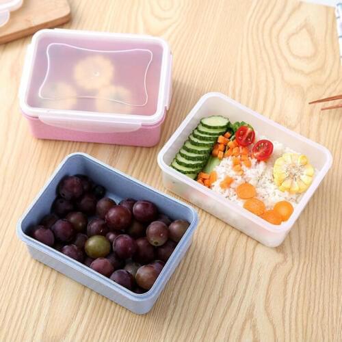 RONGZHEN Lunch Boxes