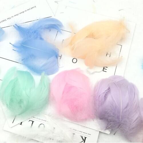 DIY Preserved Fresh Flower Flower Accessories Colorful Natural Feather Fairy Flower Box Accessories Handmade Gift Box Accessorie