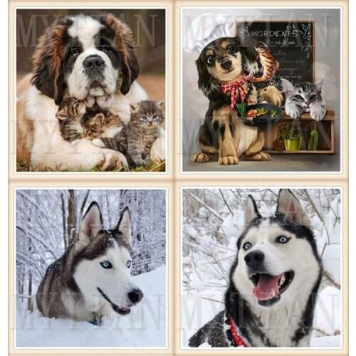 5D DIY full square/round diamond painting cute dog husky animal embroidery rhinestone cross stitch painting diamond Home decor