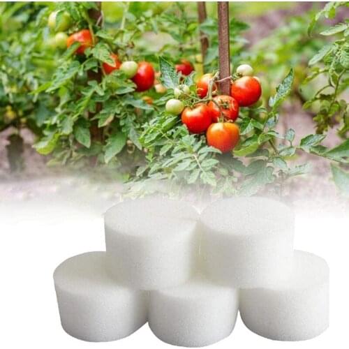 50 Pcs Hydroponic Sponge Overground Soilless Hydroponics Vegetable Growing System Greenhouse Plant Gardening Tool 50Mm