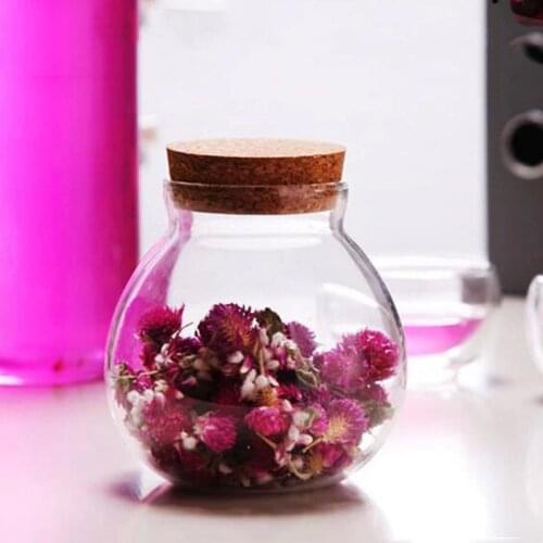 18pcs/pack Diameter=10cm Cork Lid Glass Terrarium Glass Tea Caddy with a cork Beautiful Candy Bottle Glass Microscape Bottle