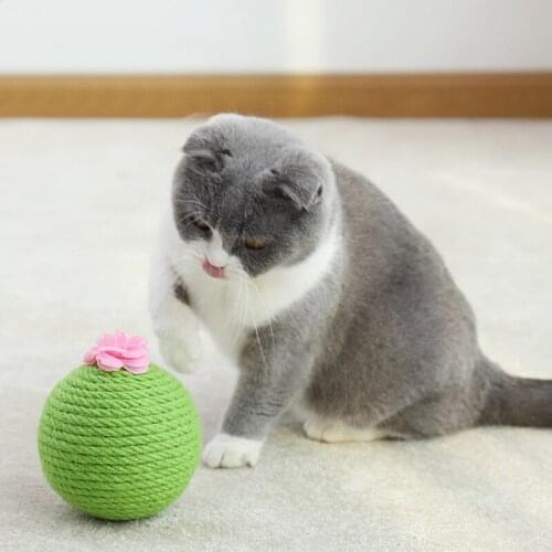 Pet Accessories Catnip Toy Cat Scratching Ball Toys Cactus Sisal Tumbler Kitten Toy Cats Interactive Toys With Catnips Supplies