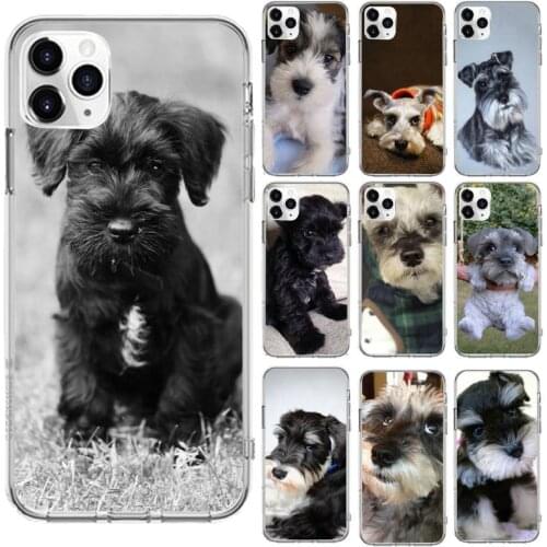 Lovely Dogs Schnauzer Phone Case Transparent for iPhone 6 7 8 11 12 s mini pro X XS XR MAX Plus cover funda shell