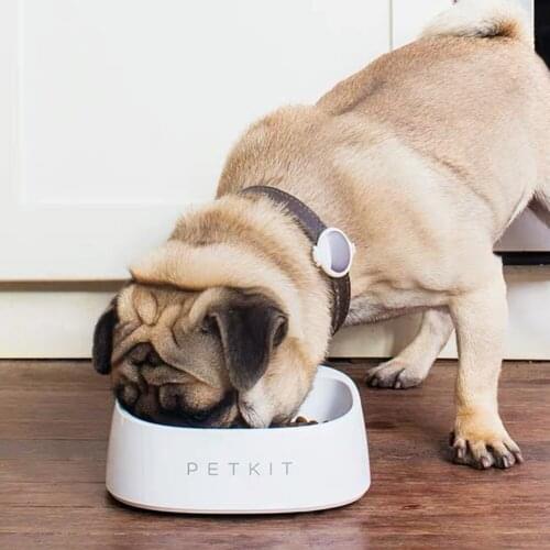 Pet Gatos Smart Weighing Cat Bowl Dog Food Rice Supplies Feeding Accessories корм для кошек Хранение и миски Comedero Mascotas