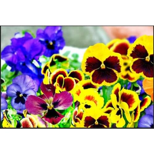 Viola cornuta mosaic embroidery craft flower diamond painting kits beads picture wall paper decor stones drawing christmas gift