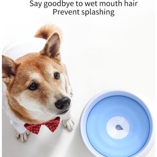 Pet Water Bowl Teddy Cat Drinking Water Not Wet Mouth Water Basin Cat Bowl Dog Bowl Dog Bowl Drinking Water Feeder Dog Supplies