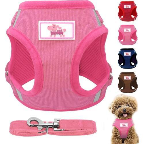Reflective Dog Vest Harness and Leash Set Breathable Nylon Small Dog Harness and Leads for Small Medium Dogs Cats