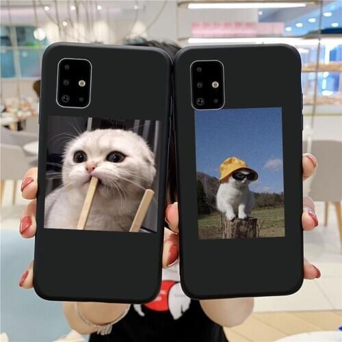 Funny Cats Case For Samsung Galaxy A21S A51 A71 A01 A11 A31 A41 A70 A50 A30 A40 A20 A10 M11 M21 S20 S10 Note 20 Ultra Soft Cover