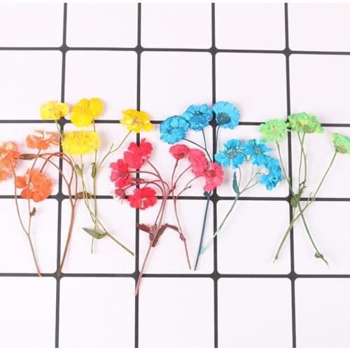 120pcs Pressed Dried Daisy with Leaves Stem Filler For Epoxy Resin Jewelry Making Postcard Frame Phone Case Craft DIY