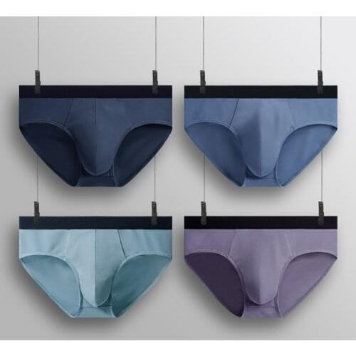 4pcs GTOPX Breathable Comfortable Cotton Sexy No Eless Underwear Men Briefs Modal Traceless Underwear