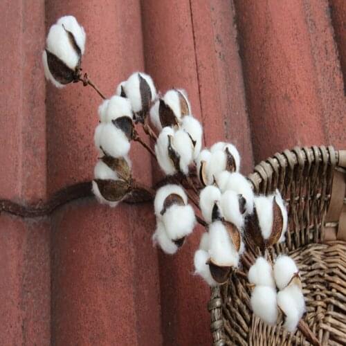 10 Head Naturally Dried Cotton Flower Artificial Plants Floral Branch For Wedding Party Decoration Fake Flowers Home Decor
