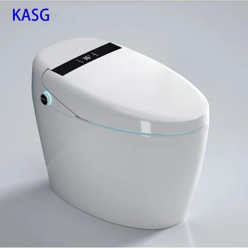 Smart Toilet Voice intelligent toilet automatic flap heating cleaning drying toilet-DV960
