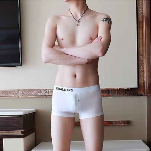 Wangjiang Boxers Men Brand Summer Silk Panties Thin Breathable Sexy Underwear Pouch U Shorts Male Underpants White Boxershorts
