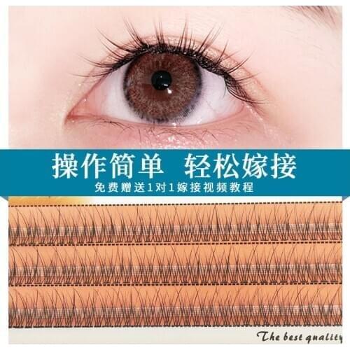 1box big capacity 6d Eyelash Extensions Thickness true Mink Strip Eyelashes Professional Makeup Individual Cluster EyeLashes