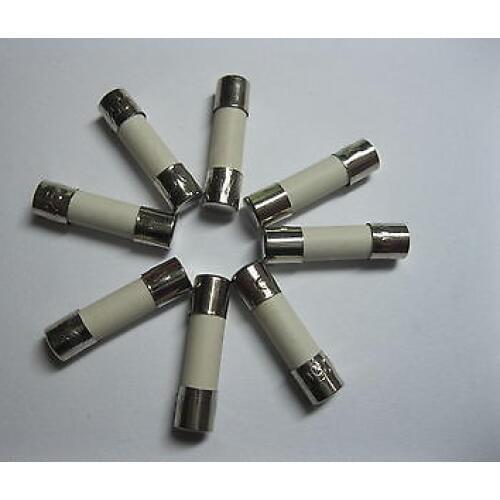 100 Pcs Fast Blow Ceramic Fuses 20A 250V 5mm x 20mm