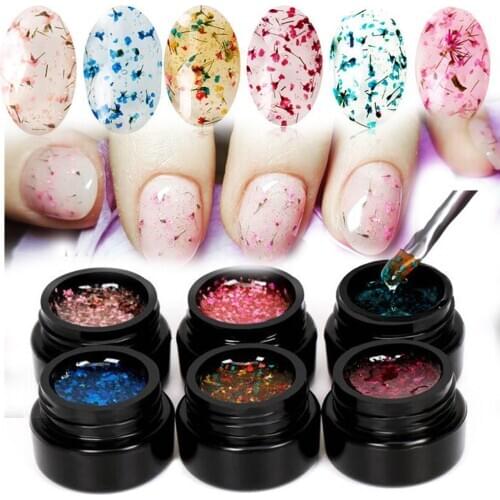 DouborQ Dry Model Gum Transparent Gum Natural Dried Flower Fairy Series Polish DIY Nail Art Decoration Painting Color Changing