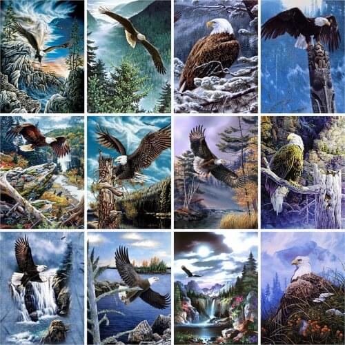 Evershine Full Square Diamond Painting Eagle Animals Diamond Mosaic Full Layout Rhinestone Embroidery Sale Home Decoration