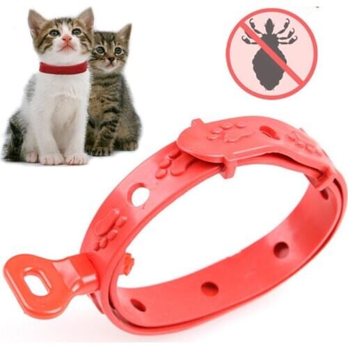 2 Size Adjustable Dog Cat Pest Control Collar Anti Flea Ticks Protection Pet Collar Outdoor Puppy Cat Neck Trap Kill Lice Mite