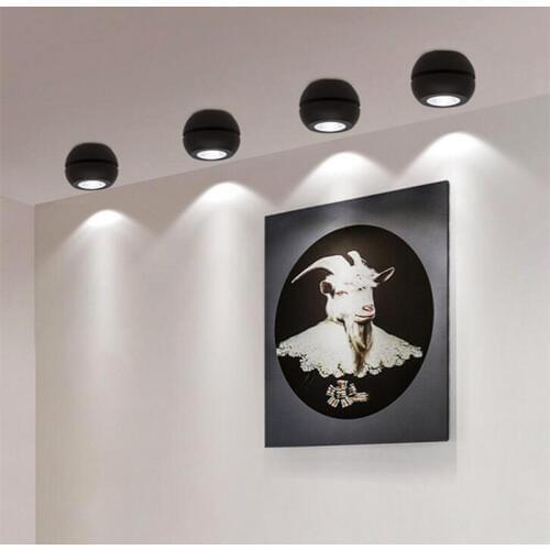 Adjustable 360° LED Downlights one Head 2 heads 4 Heads 10W 20W 40W COB LED Ceiling Lamps Down Lights AC85~265V Indoor Lighting