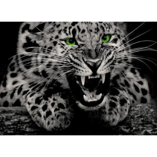 Wild Jaguar with Bright Green Eyes Panther Iron Poster Wall Poster Plaque for Home Kitchen Bar Coffee Shop Metal Tin Sign