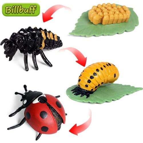2020 Insect Animal Model Simulation Scarab Growth Cycle Action Figures Collect Miniature Cognition Educational Toys for children