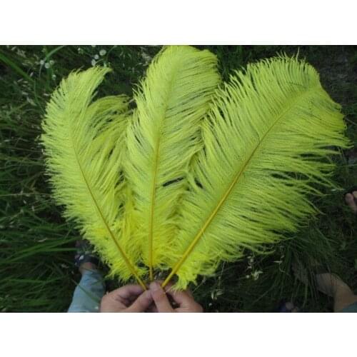 Manufacturers sell 50 pcs high quality yellow ostrich feathers 20-22 inch 50-55 cm Wedding decoration