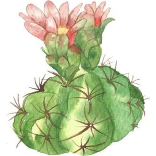 Succulent diamond mosaic embroidery painting plante cactus rhinestone sticker wall decoration diamond art needlework handcraft