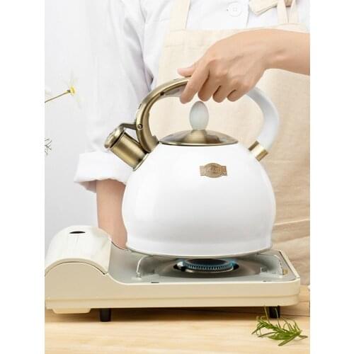 304 Electroplated Bronze Handle Silicone 3.5L Spray Color Whistle Kettle European and American Sound Water Pot