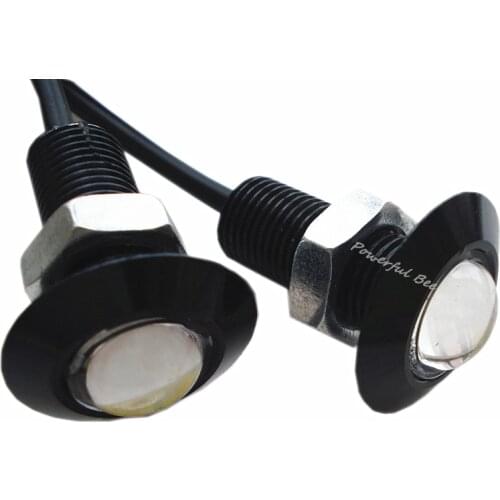 Powerful Bee Outdoor Lighting