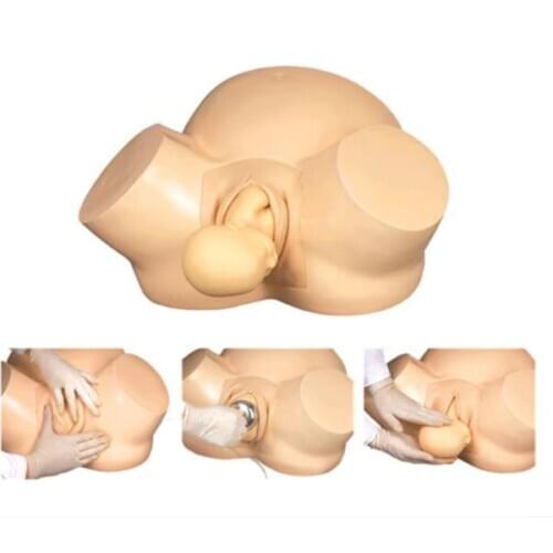 Advanced midwifery training model F8 delivery model/fertility Female delivery birth simulation human body