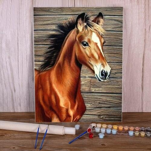 Colorful Horse Animal Coloring By Numbers Painting Set Oil Paints 50*70 Picture By Numbers Photo Wall Paintings Wholesale