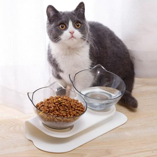 Creative Clear Pet Bowl Set Non-slip Tilting Style Pet Double Feeder Bowl Transparent Pet Food Removable Bowl for Dogs Cats