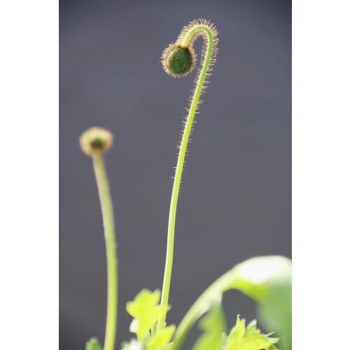 ZhuiStar Hobby And Craft Supplies