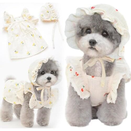 Puppy Summer Clothes Yorkshire Pet Clothing Pomeranian Poodle Bichon Dog Clothes Dog Skirt Cat Dress For Girls York Dog Costume