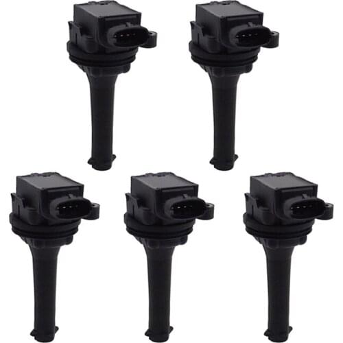 WORMS Ignition Coils