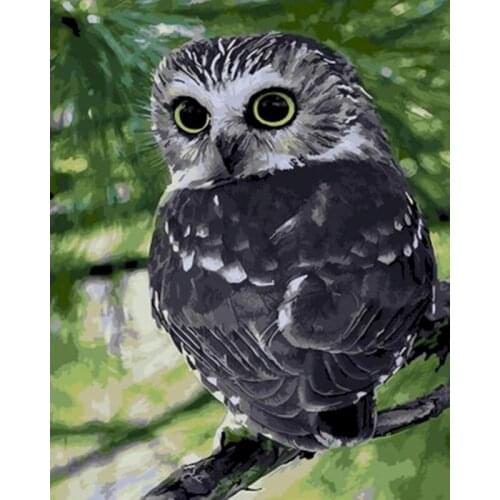 Gatyztory Frame Owl Paint By Numbers For Adults Kids Animal Handpainted Oil Painting Canvas Drawing DIY Gift Wall Decor 60×75cm